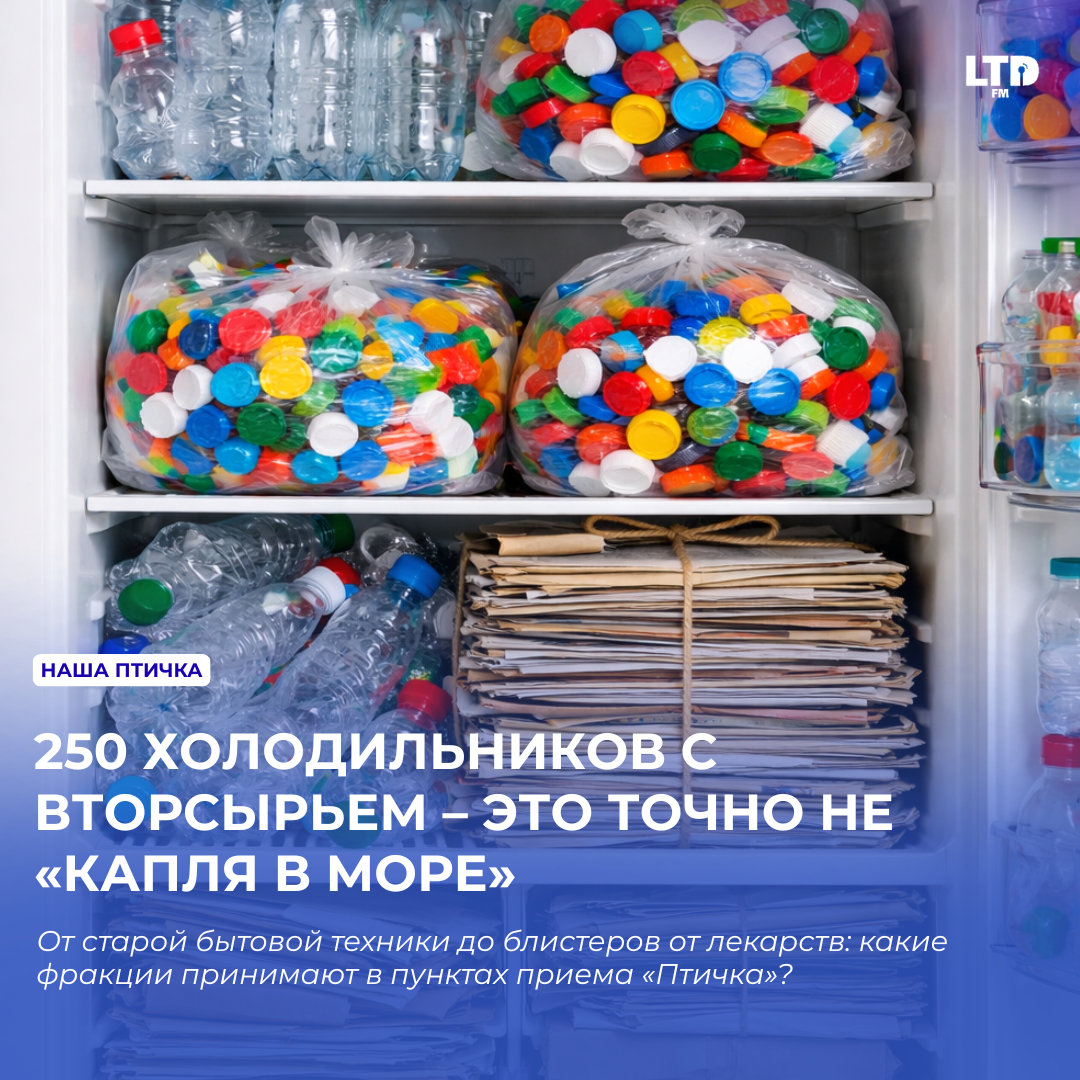 250 ХОЛОДИЛЬНИКОВ С ВТОРСЫРЬЕМ – ЭТО ТОЧНО НЕ «КАПЛЯ В МОРЕ»