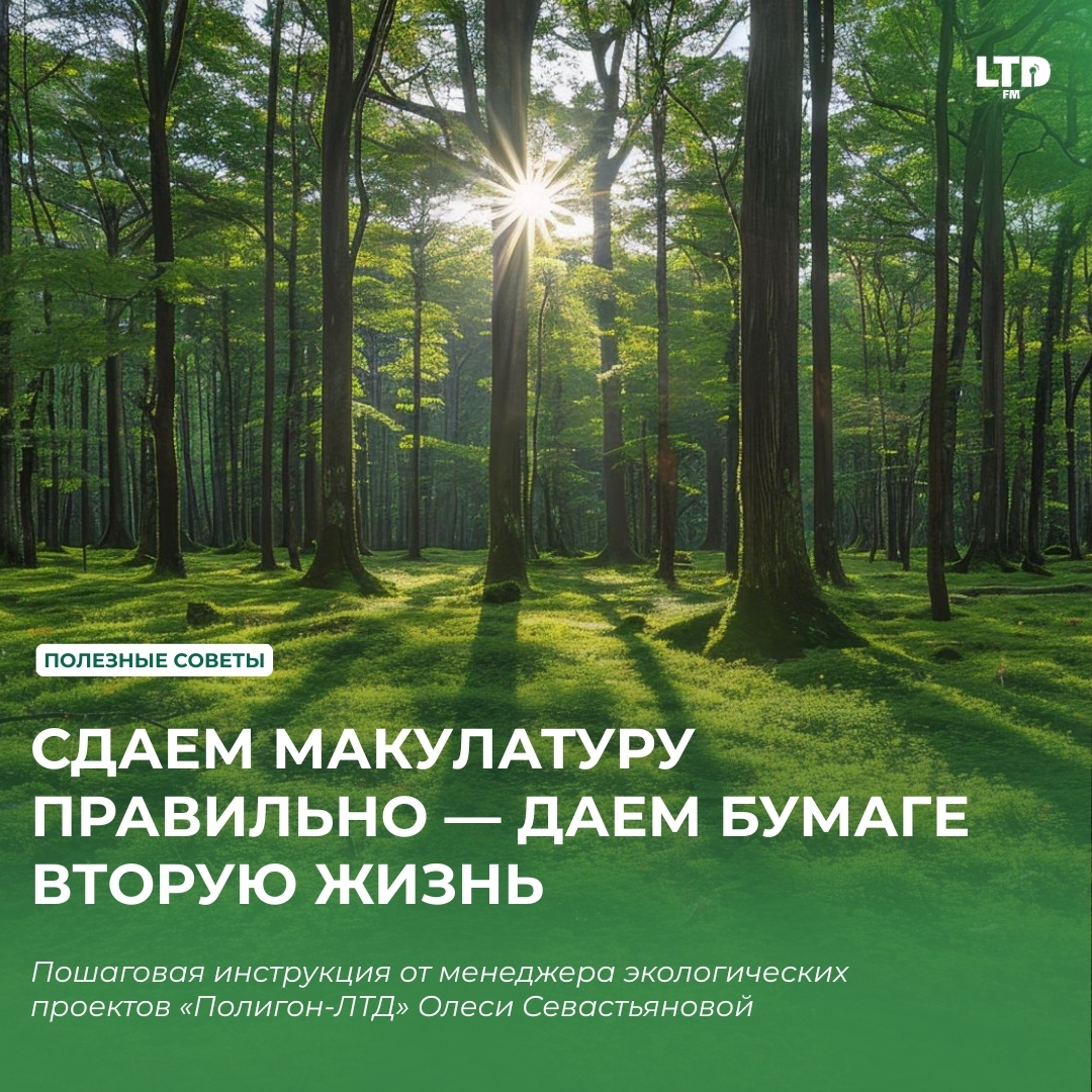 СДАЕМ МАКУЛАТУРУ ПРАВИЛЬНО — ДАЕМ БУМАГЕ ВТОРУЮ ЖИЗНЬ