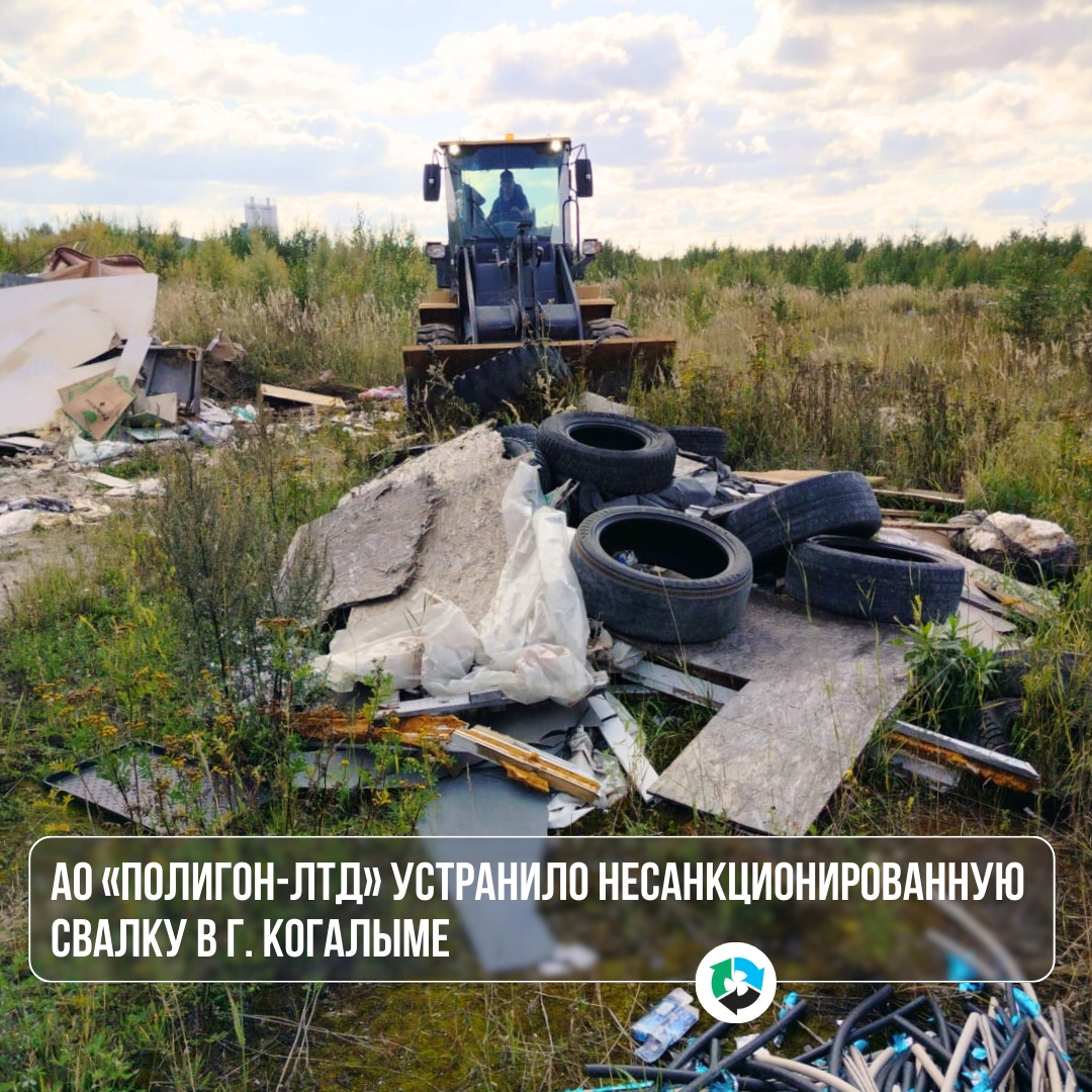 Вместе чище