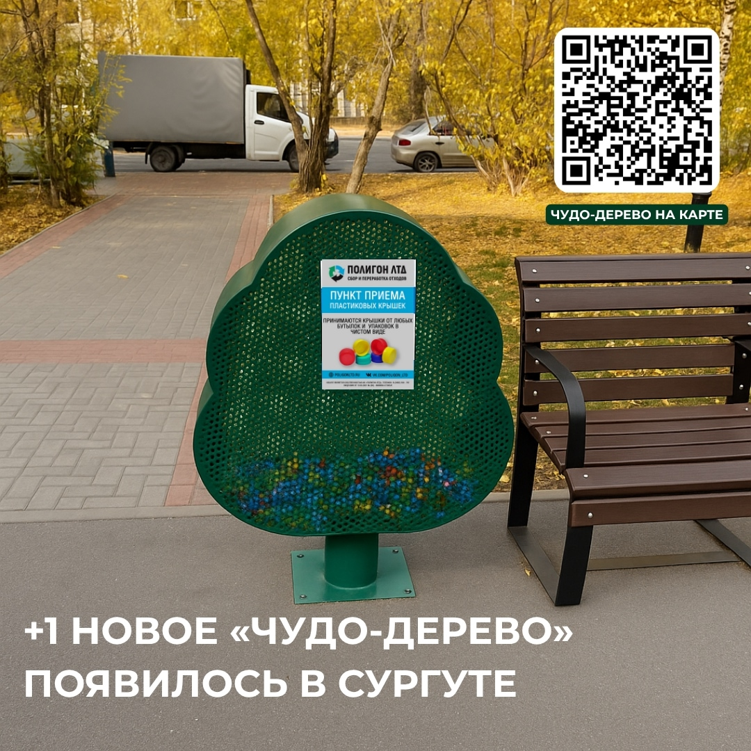 +1 Чудо-дерево в Сургуте