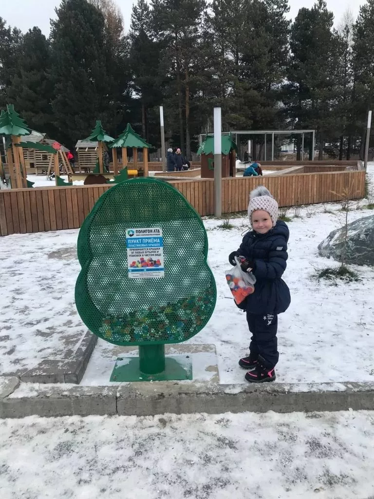 Всесезонные и вечнозелёные Всесезонные и вечнозелёные