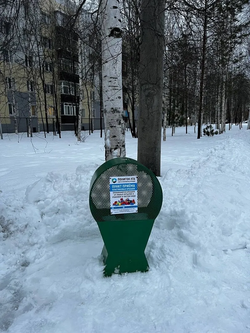 Новое «Чудо-дерево» появилось в Сургуте.
